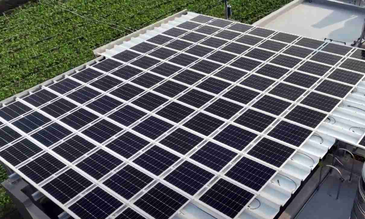 2468BETSunSteel光电浪板升级双玻结构，，以提升机械负载强度及气候耐候度，，可广泛运用于多元场域